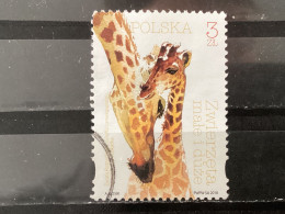 Polen / Poland - Dieren (3) 2018 - Used Stamps