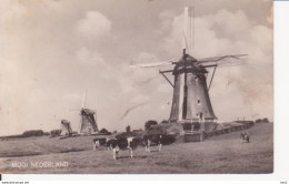 Leidschendam Molen RY 3263 - Leidschendam