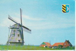 Ameland Molen  RY 3273 - Ameland