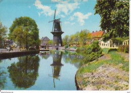 Schiedam Walvis Molen RY 3277 - Schiedam