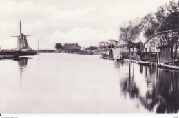 Westzaan De Guit Molen RY 3295 - Zaanstreek