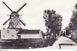 Koog A/d Zaan Pelmolen Molen RY 3306 - Zaanstreek