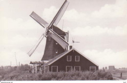 Zaanse Schans De Zoeker Molen RY 3302 - Zaanstreek