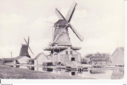 Westzaan Molen Groene Jager, Vliegend Hert RY 7909 - Zaanstreek