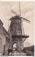 Wijk Bij Duurstede Molen RY 0011 - Wijk Bij Duurstede