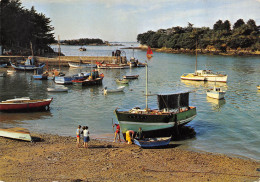 CPSM 56 DANS LE PETIT PORT DE PÊCHE NETTOYAGE DU BATEAU     Grand Format 15 X 10,5 Cm - Autres & Non Classés