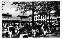 Leeuwarden - Veemarkt Gel.1956 - Leeuwarden