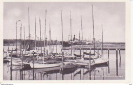 Schiedam Wilhelmina Haven 1961 RY11198 - Schiedam