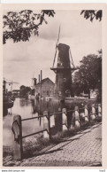 Schiedam Walvis Molen  RY11132 - Schiedam