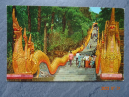 WAT PRA SING CHIENGMAIDRAGON STAIRCASE LEADING UP TO DOI SUTHEP TEMPLE  CHIENGMAI - Thaïlande