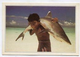 AK150256 MALDIVES - Requin à Pointe Blanche - Maldivas