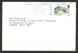 GUERNESEY. N°296 De 1984 Sur Enveloppe Ayant Circulé. Hippomobile. - Postkoetsen
