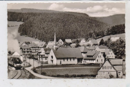 3542 WILLINGEN, Dampfzug, Katholische Kirche Und Umgebung, 1957 - Waldeck