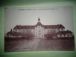 80-13-10                  BEAUMONT-LA-RONCE    La Haute-Barde  ( Côté Ouest )       ( Brunâtre ) - Beaumont-la-Ronce