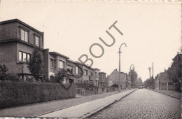 Postkaart/Carte Postale - Edegem - Oude Godstraat (C4583) - Kontich