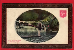 ISLE OF MAN  PORT SKILLION HERALDIC AND BROWN FRAME BORDER Pu 1909 - Isle Of Man