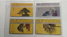 8 Cartes - 8 Kaarten - 8 Cards - Taiwan (Formosa)