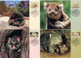 Australie - Vie Sauvage En Australie (I) CM 1272/1275 (année 1992) - Maximum Cards