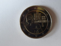 Slovénie Pièce 2 Euro Commémorative Année 2011 - Slovenia