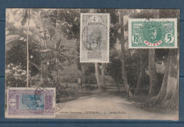 Guinée - Carte Postale - Erreur D'inscription ( Grançaise ) - Conakry - Jardin Public - Carte Ayant Circulée - 1914 - Guinée Française