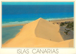 CPM- ISLAS CANARIAS - JANDIA - Dune Spectaculaire * Timbre Cervantes **2 Scans - Otros & Sin Clasificación