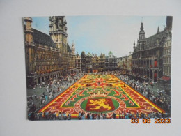 Bruxelles. Grand Place, Tapis De Fleurs. Thill Nels 100/250 PM 1981 - Marktpleinen, Pleinen