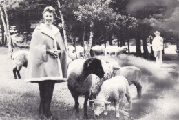 Canada Nova Scotia Middleton Ewe-Wear Sheepskin Products - Sonstige & Ohne Zuordnung