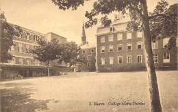 BELGIQUE - Herve - Collège Marie-Thérèse - Carte Postale Ancienne - Herve