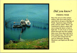 Canada New Brunswick Bay Of Fundy Fishing Weir - Other & Unclassified