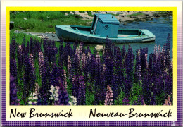 Canada New Brunswick Lupines Along The Highways  - Autres & Non Classés