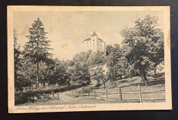 AK Schloss Wildegg Bei Sittendorf NÖ Gestempelt/o Hinterbrühl 1925 - Mödling