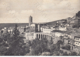 CARTOLINA  NEMI,ROMA,LAZIO-PANORAMA PARZIALE-STORIA,MEMORIA,CULTURA,RELIGIONE,IMPERO ROMANO,BELLA ITALIA,NON VIAGGIATA - Multi-vues, Vues Panoramiques