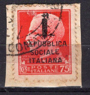 Z6337 - ITALIA RSI SASSONE N°494 - Oblitérés