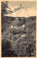 BELGIQUE - ROBERTVILLE - Les Ruines De Rénastène - Carte Postale Ancienne - Altri & Non Classificati