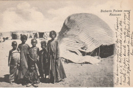 Egypte / Bicharis Palace Near Assouan --- 1908 - Asuán