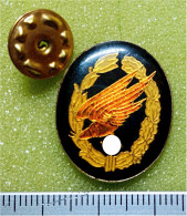 Pin/Anstecker: Greifvogel Im Sturzflug (NS-Symbol überdeckt) - Non Classés