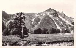 FRANCE - 63 - LE MONT DORE - SANCY - Les Aiguilles Du Diable - Carte Postale Ancienne - Le Mont Dore