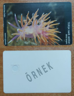 AC -  TURK TELECOM TELEPHONE - PHONE CARDS SAMPLE CARD UNDERWATER CREATURES SEA SLUG - Turkey