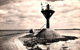 CPSM - NOIRMOUTIER - Passage Du GOIS à Marée Basse (voitures) ... LOT 3 CP  / Edition Artaud Gaby (format 9x14) - Noirmoutier