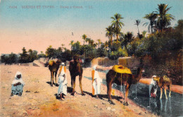 ALGERIE - Scènes Et Types - Dans L'Oasis - Carte Postale Ancienne - Scenes
