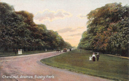 ANGLETERRE - Bushy Park - Chestnut Avenue - Carte Postale Ancienne - Other & Unclassified