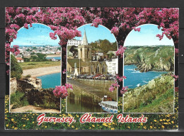 GUERNESEY. Carte Postale écrite. - Guernsey