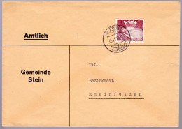 Schweiz Suisse 1949: Amtlich-Brief Mit Zu 301 URTYPE Mi 533 I Yv 485 VARIÉTÉ Mit Stempel STEIN 15.IX.50 (Zu CHF 480.00) - Plaatfouten