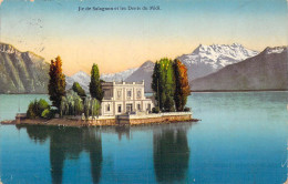 SUISSE - Ile De Salagnon Et Les Dents Du Midi - Carte Postale Ancienne - Sonstige & Ohne Zuordnung