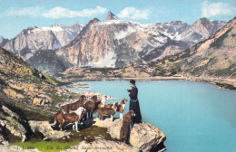 SUISSE - Lac Du Grand Saint-Bernard - Carte Postale Ancienne - Berna