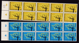 1962 Olanda Holland Nederland EUROPA CEPT EUROPE 10 Serie Di 2 Valori MNH** Albero Stilizzato A 19 Foglie, Stylized Tree - 1962