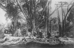 SRI LANKA - Colombo - Banian Dans Le Jardin De Paradeniya - Carte Postale Ancienne - Sri Lanka (Ceilán)