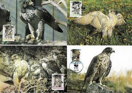 1990 - BIRDS OF PRAY - GYR FALCON (Falco Rusticolus) - Maximumkarten