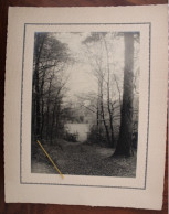 Photo 1920's Sentier Forestier Forêt France Tirage Print Vintage - Old (before 1900)