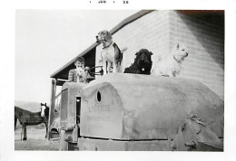 Theme Div-ref TT604- Photo 12,5cms X 9cms -arizona -etats Unis -agriculture-1956 -tracteurs - Tracteur -tractor Galion - - Tractors